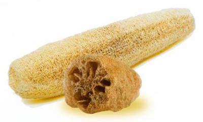 Esponja Vegetal
